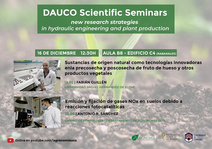 SEMINARIO DICIEMBRE reducido