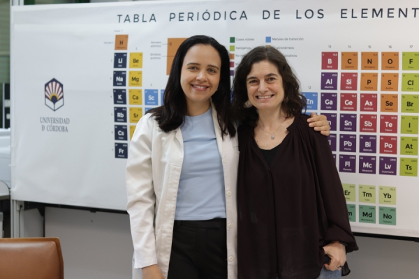 Estudian la receta para una lechada capaz de “autorreparar” fisuras en grandes construcciones