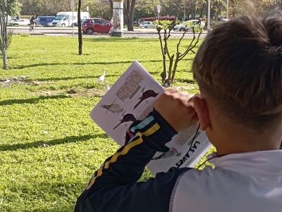 Un estudiante observa con ayuda de prismáticos y una guía distintos tipos de aves, entre ellas una Garcilla bueyera. 