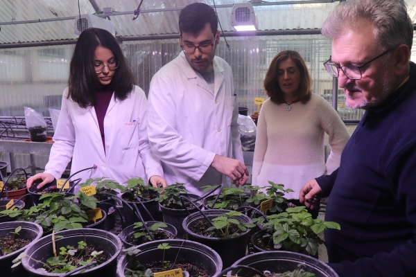 Personal investigador del grupo de Biotecnología y farmacognosia vegetal de la Universidad de Córdoba