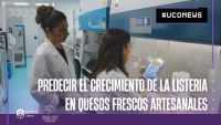 Integrantes del grupo de investigación