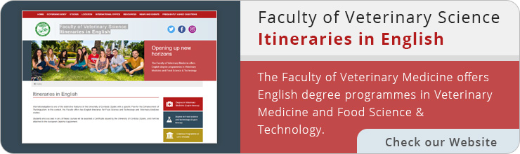 banner english itinerary